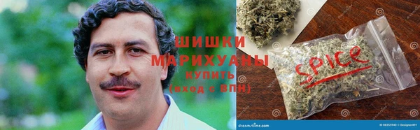 шишки Кукмор