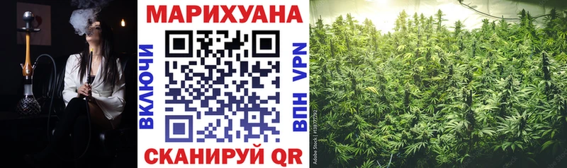 Купить где Назарово Конопля Amnesia